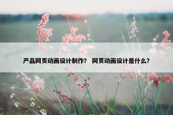 产品网页动画设计制作？ 网页动画设计是什么？-第1张图片-冷动云