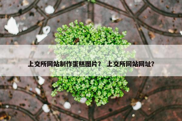 上交所网站制作蛋糕图片？ 上交所网站网址？-第1张图片-冷动云