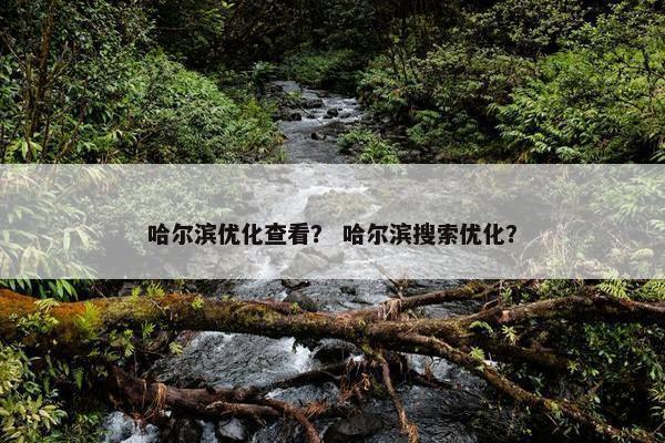 哈尔滨优化查看？ 哈尔滨搜索优化？-第1张图片-冷动云