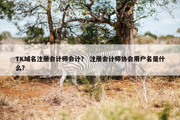 TK域名注册会计师会计？ 注册会计师协会用户名是什么？-第1张图片-冷动云