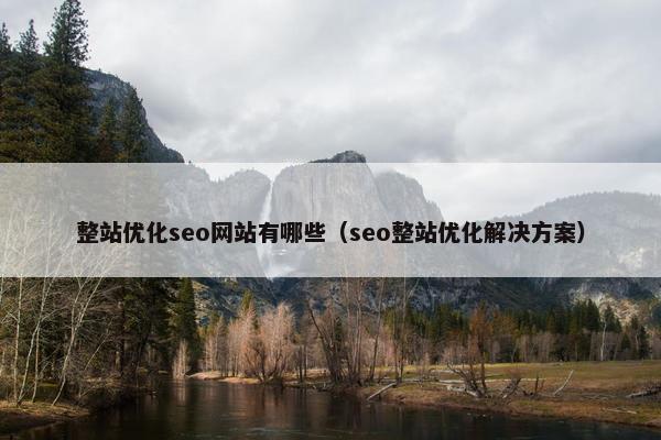 整站优化seo网站有哪些（seo整站优化解决方案）-第1张图片-冷动云