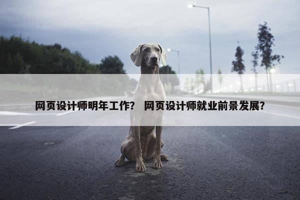 网页设计师明年工作？ 网页设计师就业前景发展？-第1张图片-冷动云