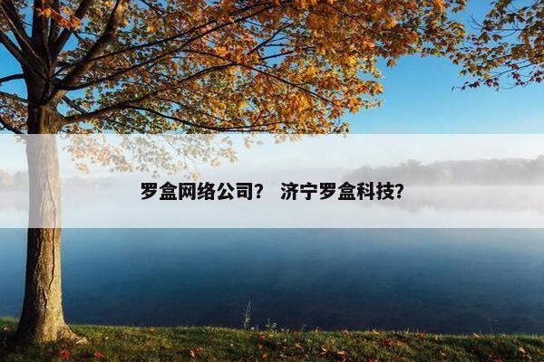 罗盒网络公司？ 济宁罗盒科技？-第1张图片-冷动云