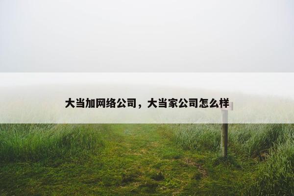 大当加网络公司，大当家公司怎么样-第1张图片-冷动云