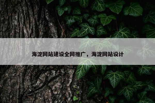 海淀网站建设全网推广，海淀网站设计-第1张图片-冷动云