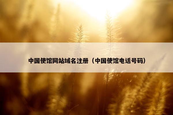中国使馆网站域名注册（中国使馆电话号码）-第1张图片-冷动云