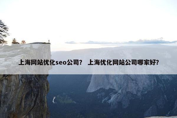 上海网站优化seo公司？ 上海优化网站公司哪家好？-第1张图片-冷动云
