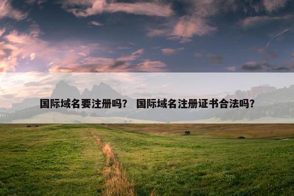 国际域名要注册吗？ 国际域名注册证书合法吗？-第1张图片-冷动云