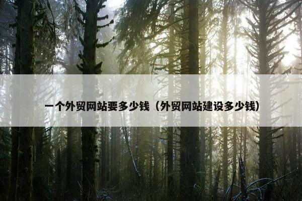 一个外贸网站要多少钱（外贸网站建设多少钱）-第1张图片-冷动云
