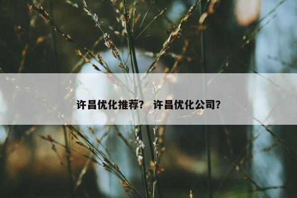 许昌优化推荐？ 许昌优化公司？-第1张图片-冷动云