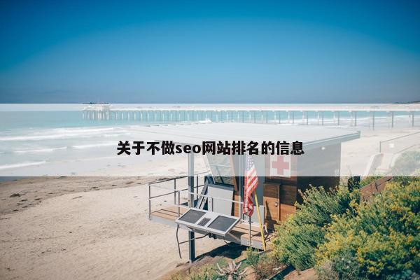 关于不做seo网站排名的信息-第1张图片-冷动云