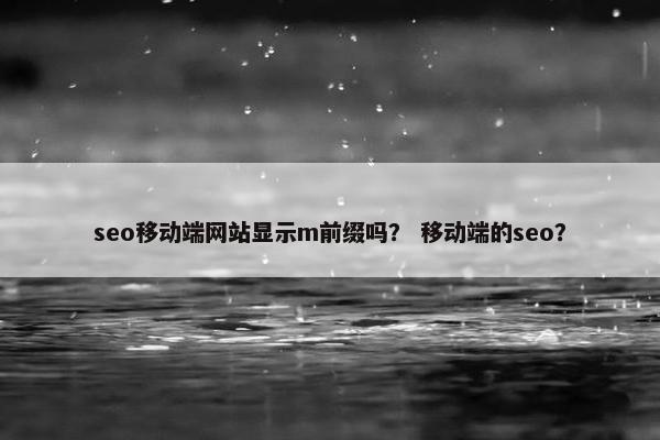 seo移动端网站显示m前缀吗？ 移动端的seo？-第1张图片-冷动云