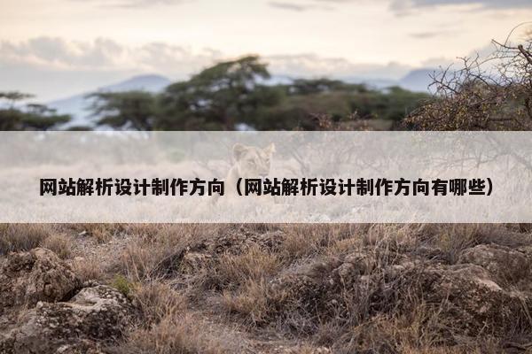 网站解析设计制作方向（网站解析设计制作方向有哪些）-第1张图片-冷动云