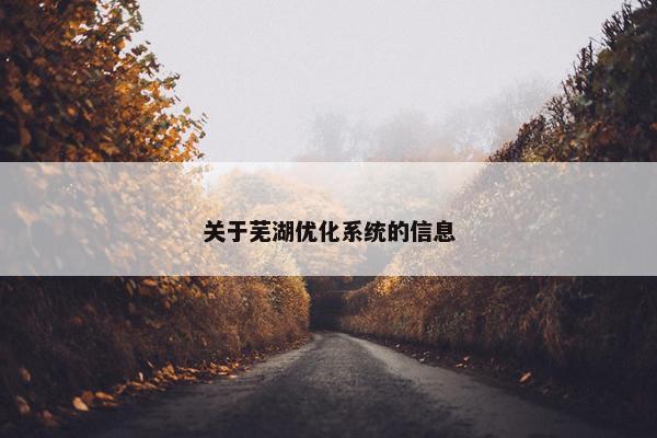 关于芜湖优化系统的信息-第1张图片-冷动云