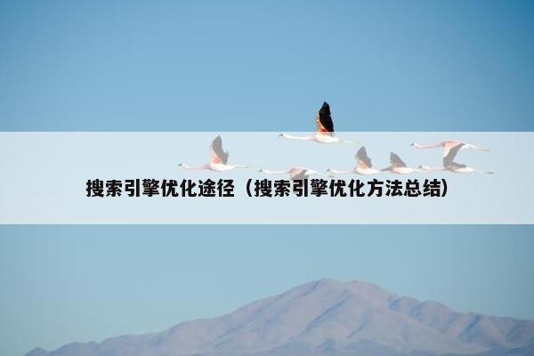 搜索引擎优化途径（搜索引擎优化方法总结）-第1张图片-冷动云