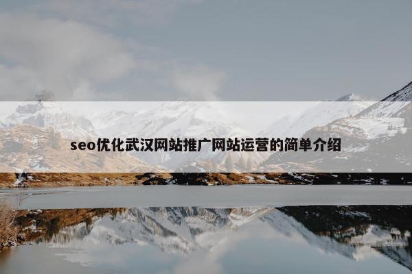 seo优化武汉网站推广网站运营的简单介绍-第1张图片-冷动云