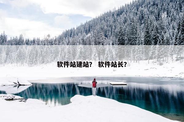 软件站建站？ 软件站长？-第1张图片-冷动云