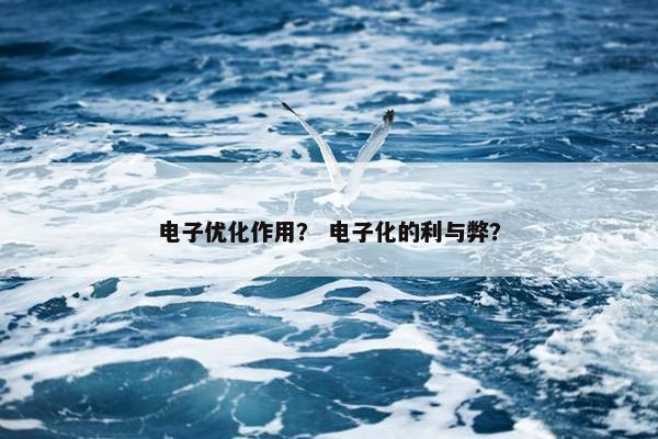 电子优化作用？ 电子化的利与弊？-第1张图片-冷动云