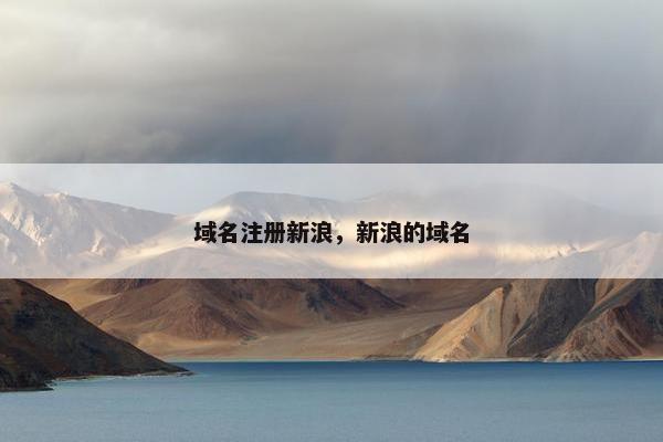域名注册新浪，新浪的域名-第1张图片-冷动云