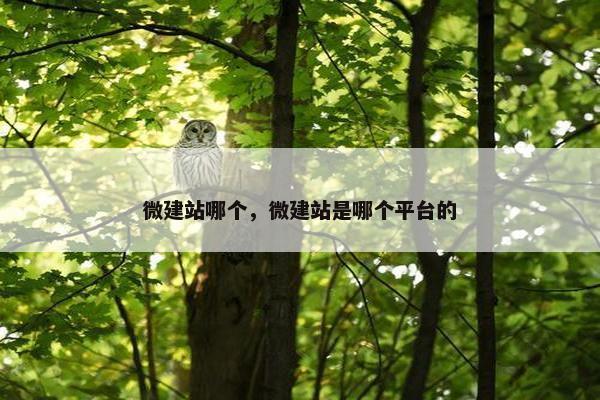 微建站哪个，微建站是哪个平台的-第1张图片-冷动云