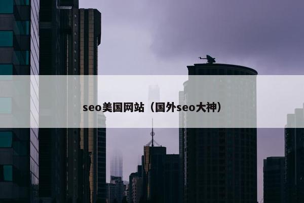 seo美国网站（国外seo大神）-第1张图片-冷动云