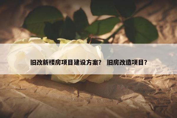 旧改新楼房项目建设方案？ 旧房改造项目？-第1张图片-冷动云