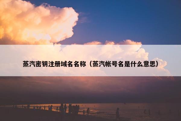 蒸汽密钥注册域名名称（蒸汽帐号名是什么意思）-第1张图片-冷动云