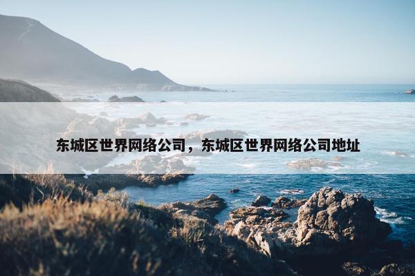 东城区世界网络公司，东城区世界网络公司地址-第1张图片-冷动云