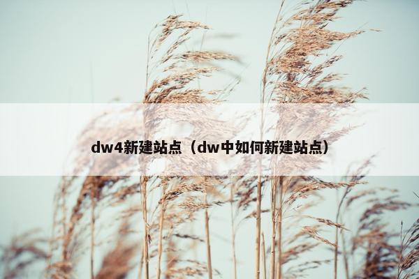 dw4新建站点（dw中如何新建站点）-第1张图片-冷动云