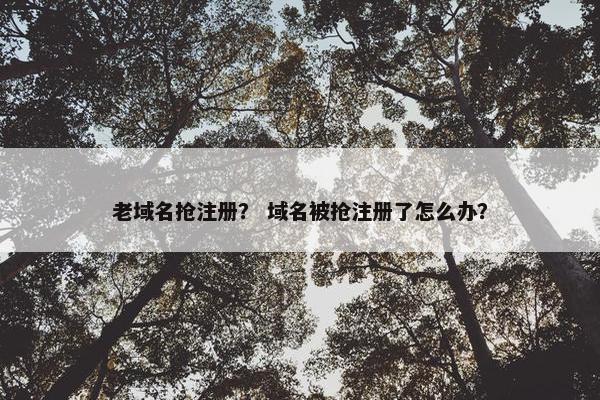 老域名抢注册？ 域名被抢注册了怎么办？-第1张图片-冷动云