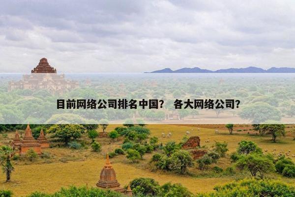 目前网络公司排名中国？ 各大网络公司？-第1张图片-冷动云