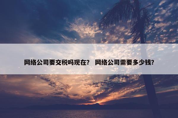网络公司要交税吗现在？ 网络公司需要多少钱？-第1张图片-冷动云