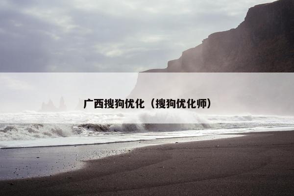 广西搜狗优化（搜狗优化师）-第1张图片-冷动云