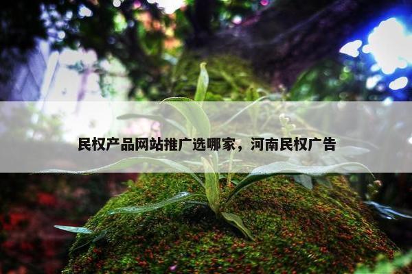 民权产品网站推广选哪家，河南民权广告-第1张图片-冷动云