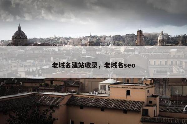老域名建站收录，老域名seo-第1张图片-冷动云