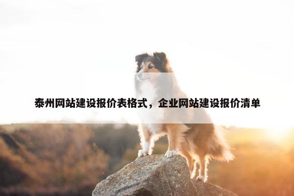 泰州网站建设报价表格式，企业网站建设报价清单-第1张图片-冷动云