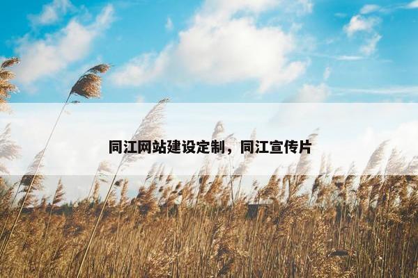 同江网站建设定制，同江宣传片-第1张图片-冷动云