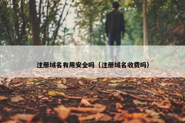 注册域名有用安全吗（注册域名收费吗）-第1张图片-冷动云