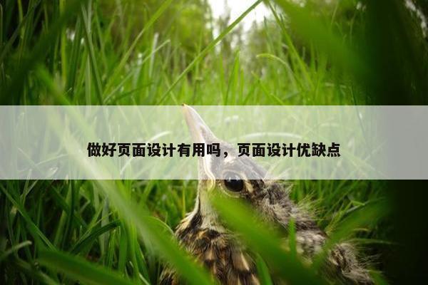 做好页面设计有用吗，页面设计优缺点-第1张图片-冷动云