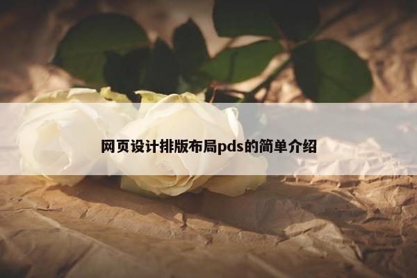 网页设计排版布局pds的简单介绍-第1张图片-冷动云