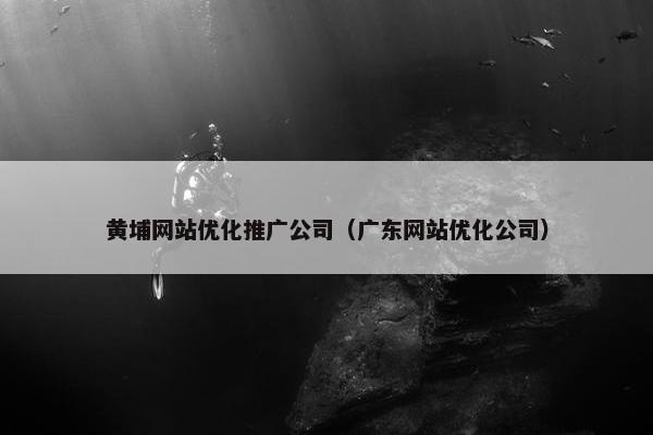 黄埔网站优化推广公司（广东网站优化公司）-第1张图片-冷动云