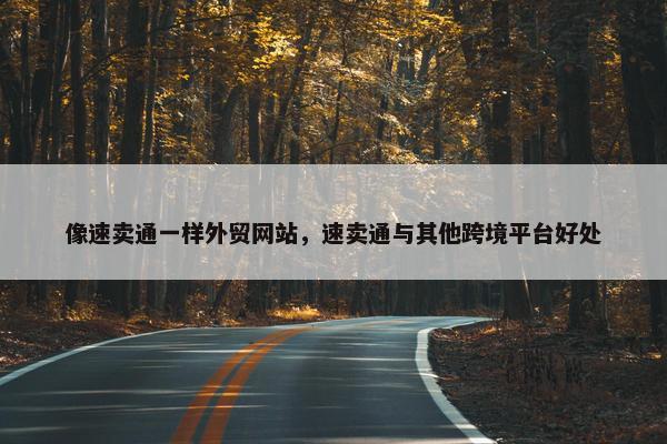 像速卖通一样外贸网站，速卖通与其他跨境平台好处-第1张图片-冷动云