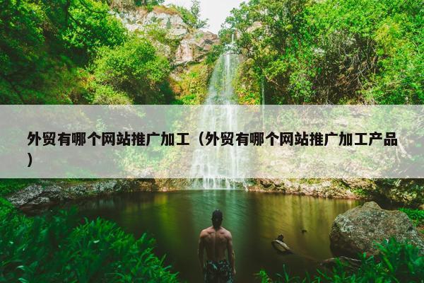 外贸有哪个网站推广加工（外贸有哪个网站推广加工产品）-第1张图片-冷动云