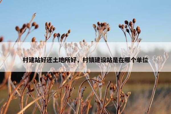 村建站好还土地所好，村镇建设站是在哪个单位-第1张图片-冷动云