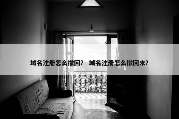 域名注册怎么撤回？ 域名注册怎么撤回来？-第1张图片-冷动云