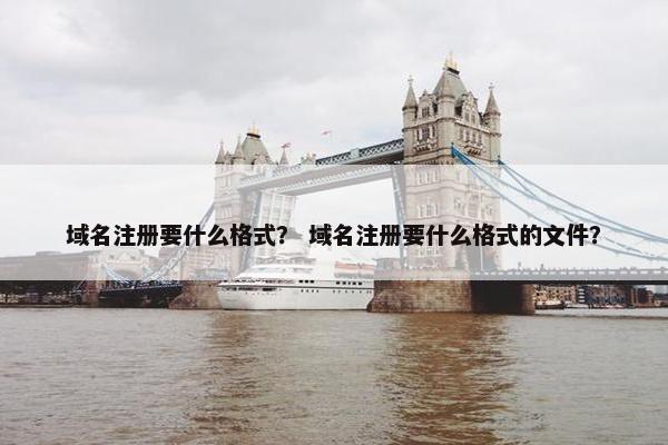 域名注册要什么格式？ 域名注册要什么格式的文件？-第1张图片-冷动云