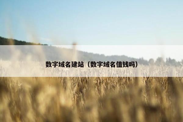 数字域名建站（数字域名值钱吗）-第1张图片-冷动云