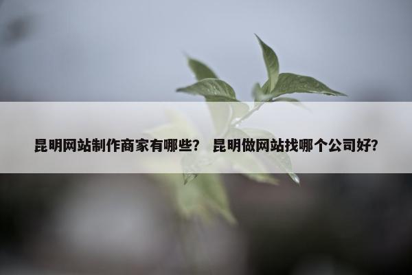 昆明网站制作商家有哪些？ 昆明做网站找哪个公司好？-第1张图片-冷动云