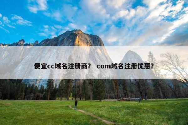 便宜cc域名注册商？ com域名注册优惠？-第1张图片-冷动云