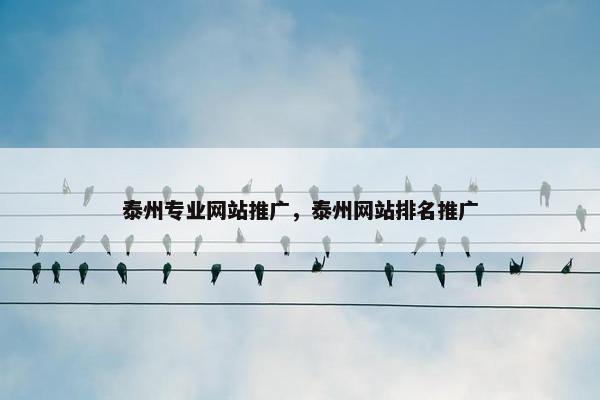 泰州专业网站推广，泰州网站排名推广-第1张图片-冷动云